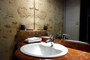 Salle de bain de l'Appartement Gascogne