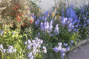 location-maison-grospeiller-jardin- printemps