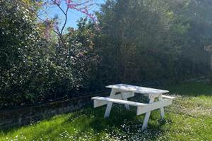 table de pique-nique