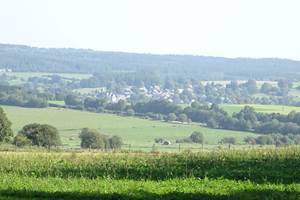 Vue de Vesqueville au sortir d'un bois