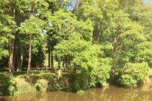 etang 9