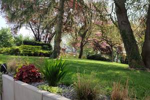 Notre jardin arboré partagé