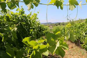 portfolio-paysage-04