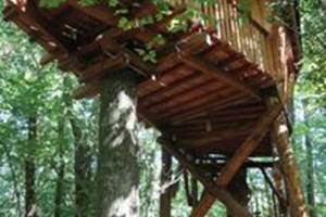 cabane dans les arbres