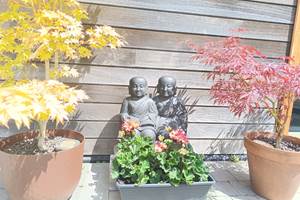IMG_20250616_123601
