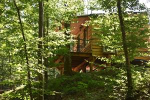 cabane