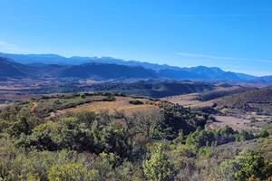 domainelatoupie-chambredhote-roussillon-oenotourisme