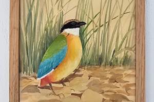 OISEAU3