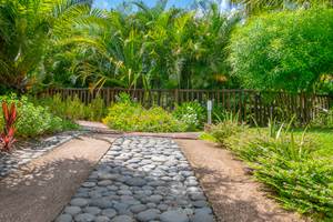 ENTREE DEPUIS LE PARKING