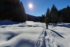Raquettes sur le sentier de la Gotreuse - Sur place