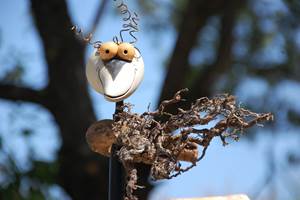 Décoration extérieure au Cellier des Amis dans les Alpes de Haute Provence