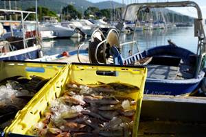 csm_PECHE_POISSON_PORT_f76d23bff7