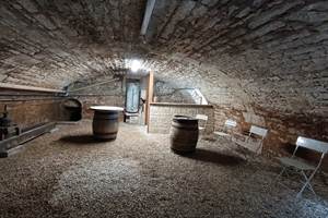 vignobles-cave-dégustation