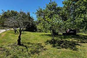 IMG_5648