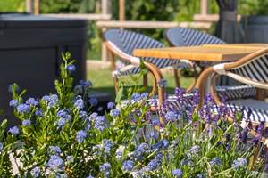 Gîte Le Cémarose en Champagne jardin paysager