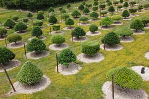 Photo_6553732_DJI_132_jpg_4180852_0_2022521134036_photo_original