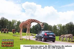 Belle découverte !
