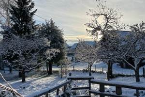thumbnail_IMG_7205