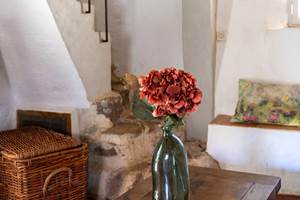 Domaine des Peirecedes-0249-2