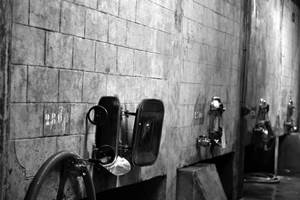 Cave du domaine de l'Herbe sainte