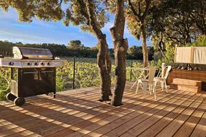 a_lombre_de_la_cheneraie_gite_spa_vignoble_les_vignes_grand_pic_saint_loup