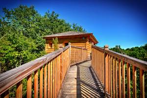 Cabane nid perché Toulouse La Male