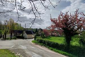 Petites routes bordées de fleurs et de haies champêtres, parfaites pour un séjour nature et détente dans le Pas-de-Calais.