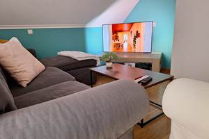 13-salon-tv-video-gite-lecureuil-namur-wepion.jpg