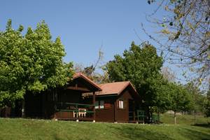 4-bungalow