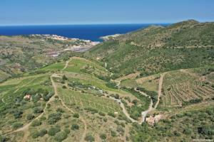 Cerbère, l'arrière pays et son vignoble