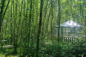 Pavillon - Logement insolite
