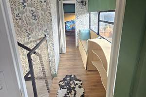 IMG-20250128-WA0009(1)