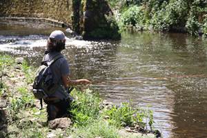 Stage d'initiation à la pêche à la mouche en rivière