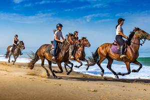 balade cheval plage charente maritime