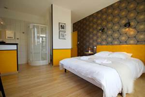 Chambre 18 m2 avec terrasse avec vue sur le parc