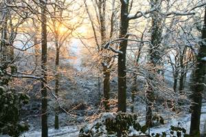 IMG-20210124-WA0044