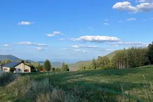 thumbnail_IMG_9477