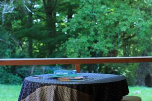 Jeu de société avec vue