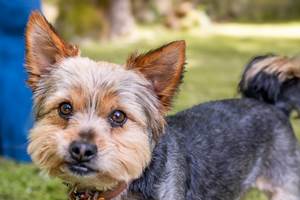 Domaine_Ste_Raffine_web-69