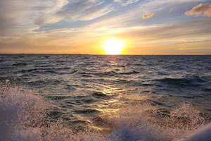 Coucher de soleil en Charente-Maritime