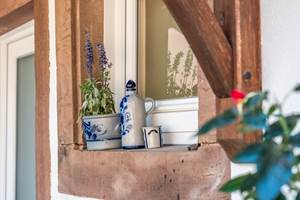 casa-mypi-studio-sous-bois-fenetre