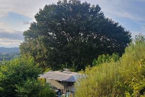 Camping car sur emplacement gravier