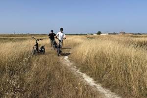 Marais ostréicoles
