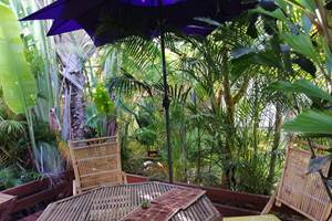 La terrasse, dans les plantes tropicales