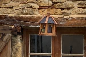 Les mésanges ont leurs maisons ici et leur distributeur de graines