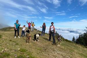 Cani-marche en famille avec les chiens de traineau