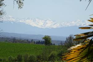 Paysage au sud, vue sur les Pyrénées