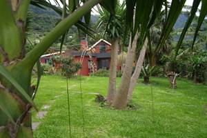 jardin