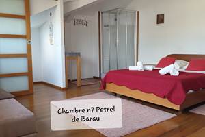 Chambre 7 Pétrel De Barau 20m2