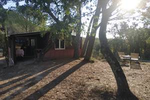Bois de Santal 1 (1)